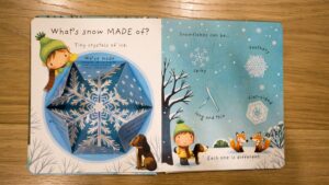 Usborne Lift-the-flap Very First Questions and Answers What is snow ?